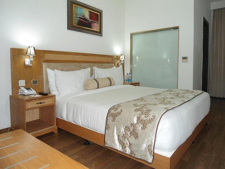 Comfort Inn Anneha Yeni Delhi Oda fotoğraf