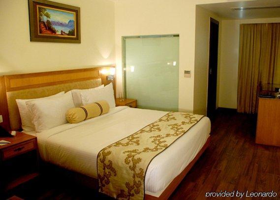 Comfort Inn Anneha Yeni Delhi Oda fotoğraf